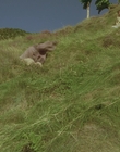 1999_-_Treasure_Island_mp43138.jpg