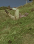 1999_-_Treasure_Island_mp43139.jpg