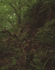 1999_-_Treasure_Island_mp43163.jpg