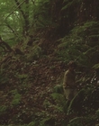 1999_-_Treasure_Island_mp43164.jpg