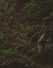 1999_-_Treasure_Island_mp43166.jpg