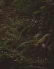 1999_-_Treasure_Island_mp43167.jpg