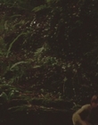 1999_-_Treasure_Island_mp43168.jpg
