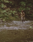 1999_-_Treasure_Island_mp43176.jpg