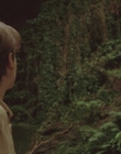 1999_-_Treasure_Island_mp43187.jpg