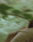 1999_-_Treasure_Island_mp43221.jpg
