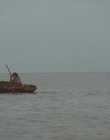 Filename=1999_-_Treasure_Island_mp43640.jpg
Filesize=785KiB
Dimensions=1920x1080
Date added=Dec 29, 2023 1999_-_Treasure_Island_mp43640.jpg
