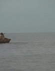 Filename=1999_-_Treasure_Island_mp43642.jpg
Filesize=752KiB
Dimensions=1920x1080
Date added=Dec 29, 2023 1999_-_Treasure_Island_mp43642.jpg