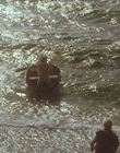 1999_-_Treasure_Island_mp43969.jpg