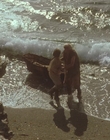 1999_-_Treasure_Island_mp43986.jpg