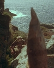 1999_-_Treasure_Island_mp44023.jpg