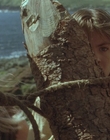 1999_-_Treasure_Island_mp44048.jpg