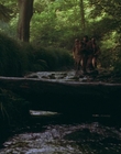Filename=1999_-_Treasure_Island_mp44123.jpg
Filesize=995KiB
Dimensions=1920x1080
Date added=Dec 29, 2023 1999_-_Treasure_Island_mp44123.jpg