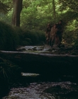 Filename=1999_-_Treasure_Island_mp44124.jpg
Filesize=962KiB
Dimensions=1920x1080
Date added=Dec 29, 2023 1999_-_Treasure_Island_mp44124.jpg