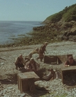 Filename=1999_-_Treasure_Island_mp45022.jpg
Filesize=1171KiB
Dimensions=1920x1080
Date added=Dec 29, 2023 1999_-_Treasure_Island_mp45022.jpg