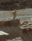 Filename=1999_-_Treasure_Island_mp45133.jpg
Filesize=1299KiB
Dimensions=1920x1080
Date added=Dec 29, 2023 1999_-_Treasure_Island_mp45133.jpg
