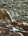 Filename=1999_-_Treasure_Island_mp45135.jpg
Filesize=1105KiB
Dimensions=1920x1080
Date added=Dec 29, 2023 1999_-_Treasure_Island_mp45135.jpg