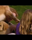 MusicVideo_28729.jpg