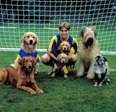 AirBud3_28329.jpg