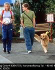 Filename=AirBud3_28129.jpg
Filesize=183KiB
Dimensions=1331x995
Date added=Dec 29, 2023 AirBud3_28129.jpg
