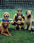 AirBud3_28329.jpg