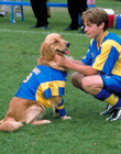 AirBud3_28429.jpg