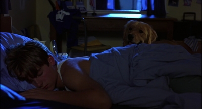 2000_-_Air_Bud_3_World_Pup_mp40729.jpg