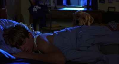 2000_-_Air_Bud_3_World_Pup_mp40730.jpg