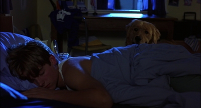 2000_-_Air_Bud_3_World_Pup_mp40731.jpg