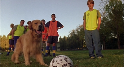 2000_-_Air_Bud_3_World_Pup_mp41268.jpg