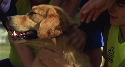 2000_-_Air_Bud_3_World_Pup_mp41306.jpg