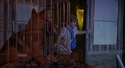 2000_-_Air_Bud_3_World_Pup_mp44099.jpg