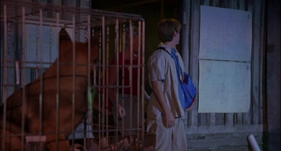 2000_-_Air_Bud_3_World_Pup_mp44100.jpg