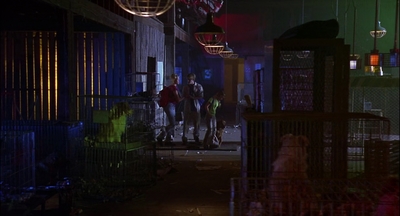 2000_-_Air_Bud_3_World_Pup_mp44105.jpg