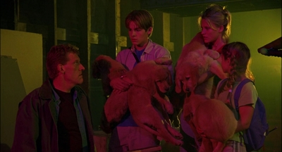 2000_-_Air_Bud_3_World_Pup_mp44185.jpg