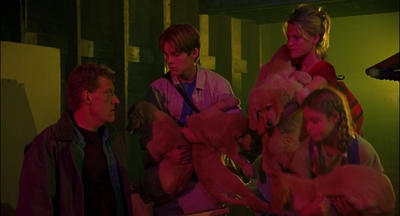 2000_-_Air_Bud_3_World_Pup_mp44186.jpg
