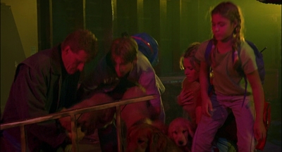 2000_-_Air_Bud_3_World_Pup_mp44188.jpg