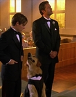 Filename=2000_-_Air_Bud_3_World_Pup_mp40083.jpg
Filesize=931KiB
Dimensions=1920x1040
Date added=Dec 29, 2023 2000_-_Air_Bud_3_World_Pup_mp40083.jpg