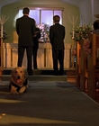 2000_-_Air_Bud_3_World_Pup_mp40091.jpg
