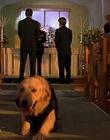 2000_-_Air_Bud_3_World_Pup_mp40094.jpg
