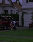 2000_-_Air_Bud_3_World_Pup_mp40434.jpg