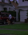 2000_-_Air_Bud_3_World_Pup_mp40437.jpg