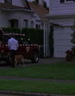 2000_-_Air_Bud_3_World_Pup_mp40440.jpg