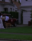 2000_-_Air_Bud_3_World_Pup_mp40441.jpg