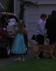 2000_-_Air_Bud_3_World_Pup_mp40445.jpg