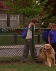 Filename=2000_-_Air_Bud_3_World_Pup_mp40776.jpg
Filesize=1213KiB
Dimensions=1920x1040
Date added=Dec 29, 2023 2000_-_Air_Bud_3_World_Pup_mp40776.jpg