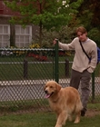 Filename=2000_-_Air_Bud_3_World_Pup_mp40777.jpg
Filesize=1193KiB
Dimensions=1920x1040
Date added=Dec 29, 2023 2000_-_Air_Bud_3_World_Pup_mp40777.jpg