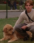 Filename=2000_-_Air_Bud_3_World_Pup_mp40905.jpg
Filesize=1182KiB
Dimensions=1920x1040
Date added=Dec 29, 2023 2000_-_Air_Bud_3_World_Pup_mp40905.jpg