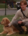 Filename=2000_-_Air_Bud_3_World_Pup_mp40906.jpg
Filesize=1182KiB
Dimensions=1920x1040
Date added=Dec 29, 2023 2000_-_Air_Bud_3_World_Pup_mp40906.jpg