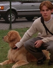 Filename=2000_-_Air_Bud_3_World_Pup_mp40907.jpg
Filesize=1187KiB
Dimensions=1920x1040
Date added=Dec 29, 2023 2000_-_Air_Bud_3_World_Pup_mp40907.jpg